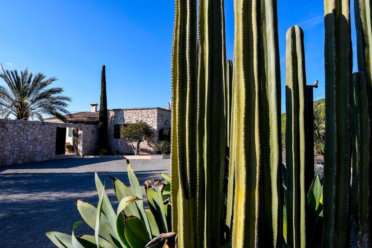 Moderne Finca Can Vicento - Heizung - Pizzaofen Porto Cristo Exterior foto